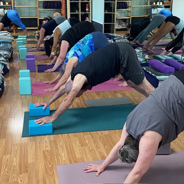 Group of people practicing Yoga